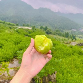 露露🎤主播照片