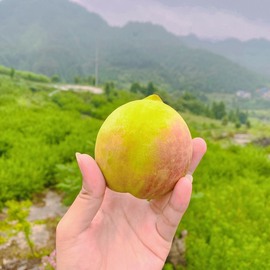 露露🎤主播照片