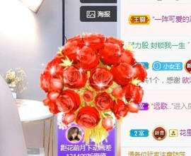 蓝小莓小朋友主播照片