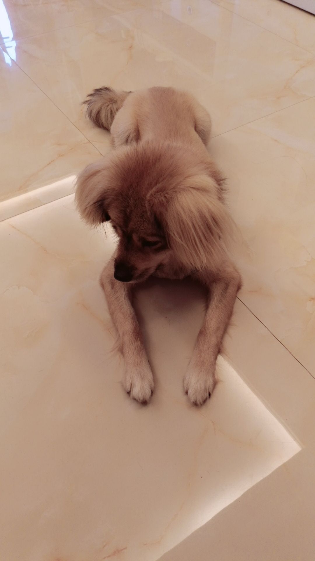 福寜~的主播照片