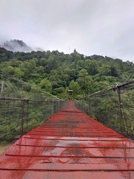 别了，聊聊天主播照片