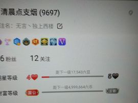 暮雪🍁升7冠主播照片