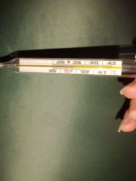╰゛若•.主播照片