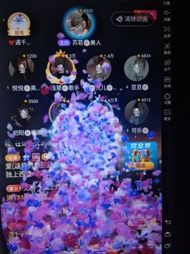 暮雪🍁升7冠主播照片