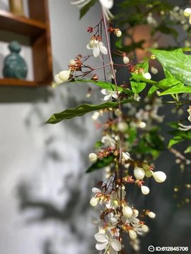 დ释怀დ主播照片