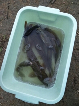 艾玛失踪人口主播照片