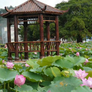 倚楼💦听雨声