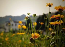伊娜休主播照片