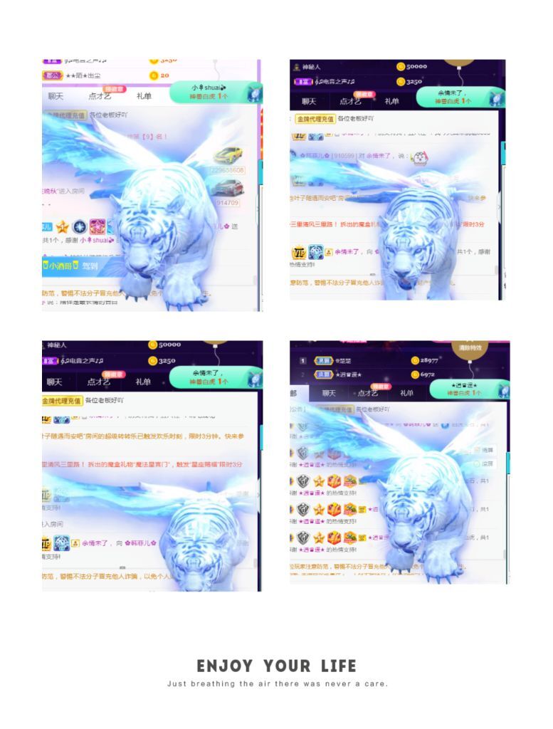 菲儿♥好运来🌈的图片