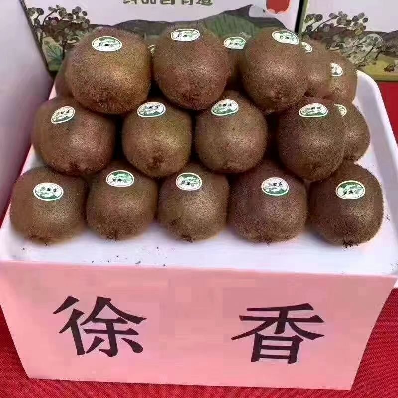 💘闹钟的主播照片