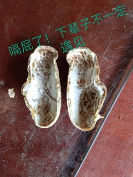 现实✔差距主播照片