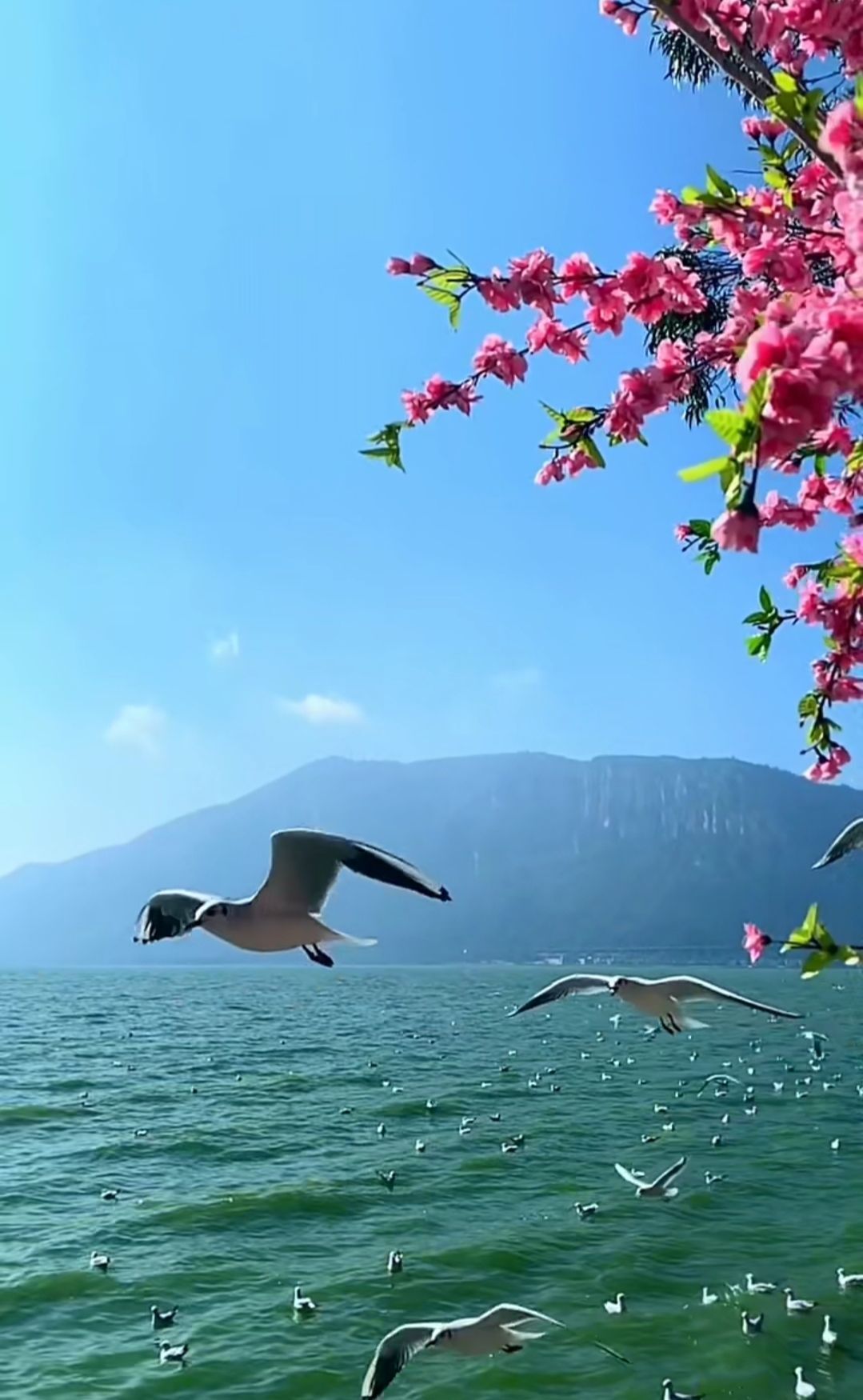 曾经的过客.的主播照片