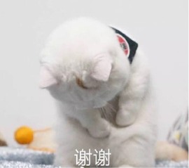 小崽崽zy主播照片