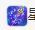 🐯双双🍀主播照片