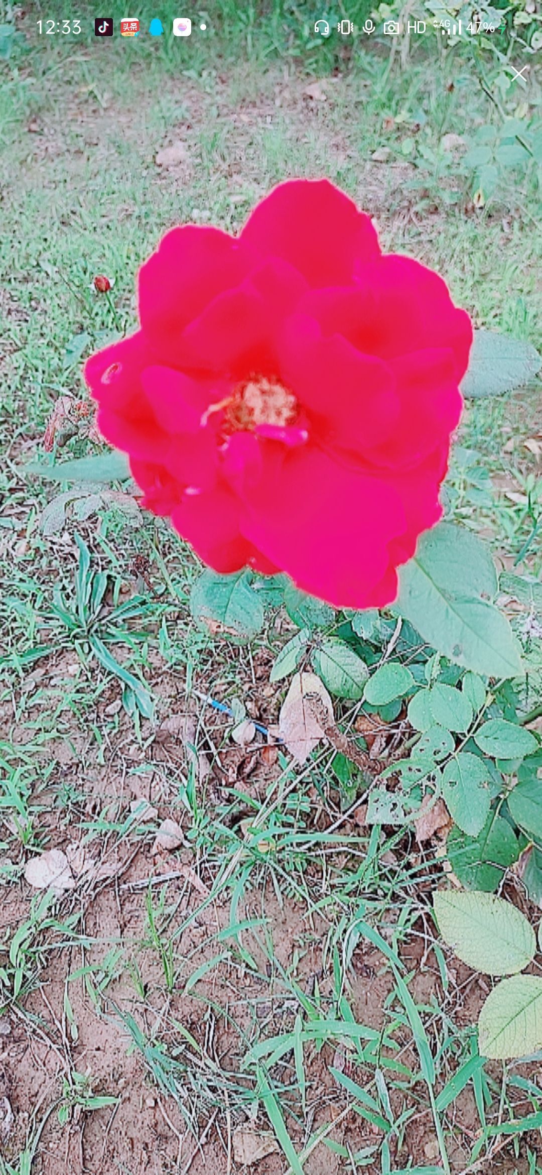 婷婷💕感恩有你陪伴的图片