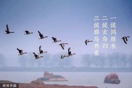Rainlinesღ的图片