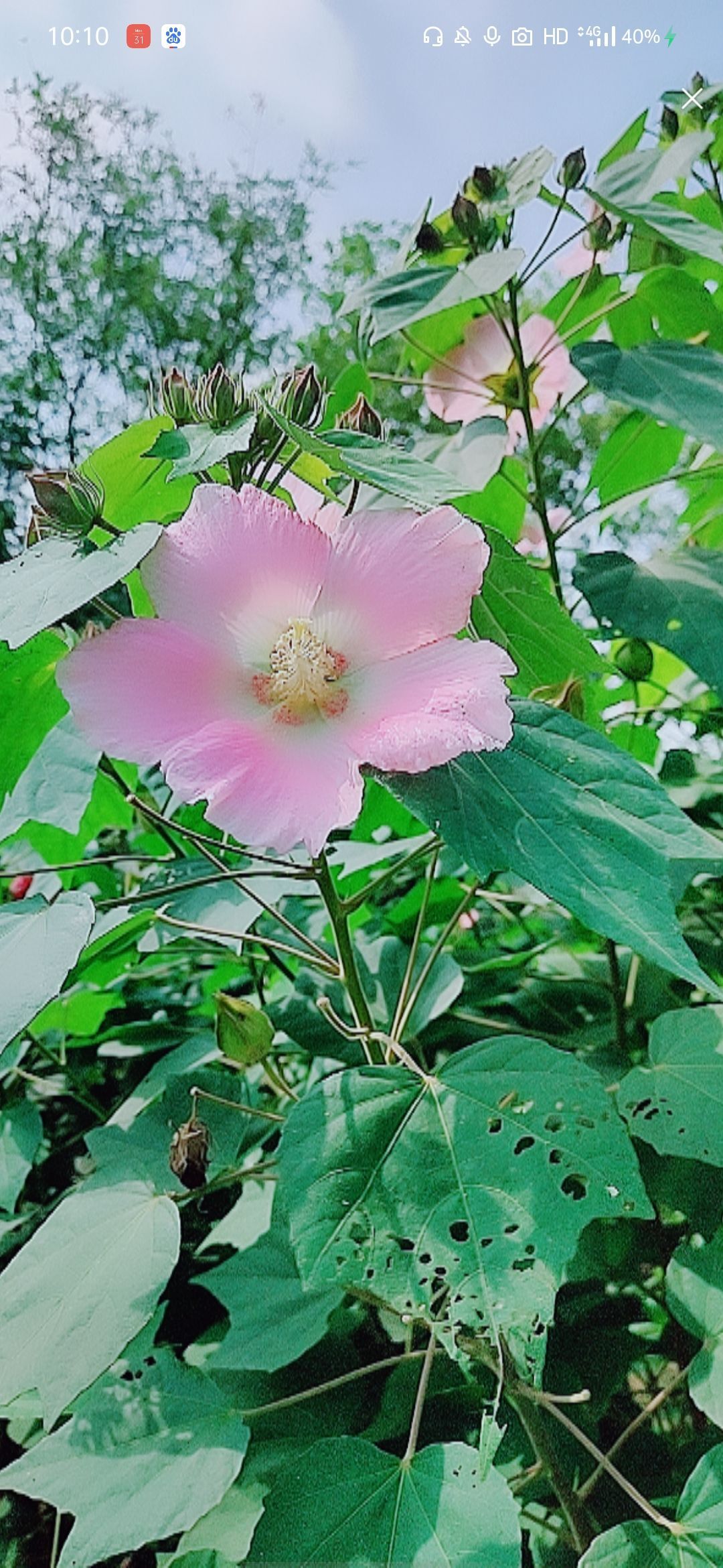 婷婷💕感恩有你陪伴的图片