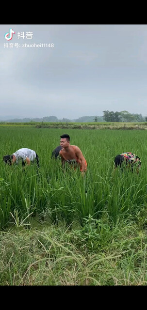 呃，女人 ，/窃笑/