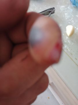 侠客————梦主播照片
