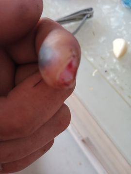 侠客————梦主播照片