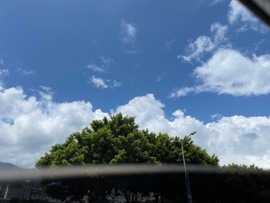 ♥晚安♥主播照片