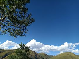 Rainlinesღ主播照片