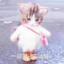 @萌宝💋