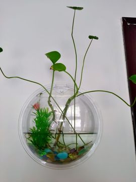 素雅依依暂休主播照片