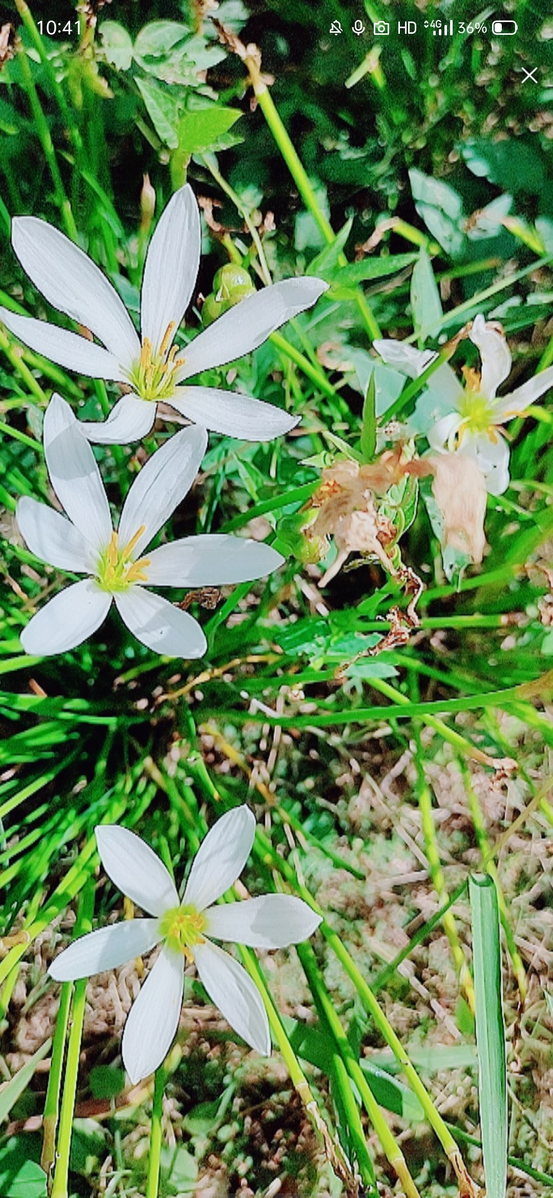 婷婷💕感恩有你陪伴的图片