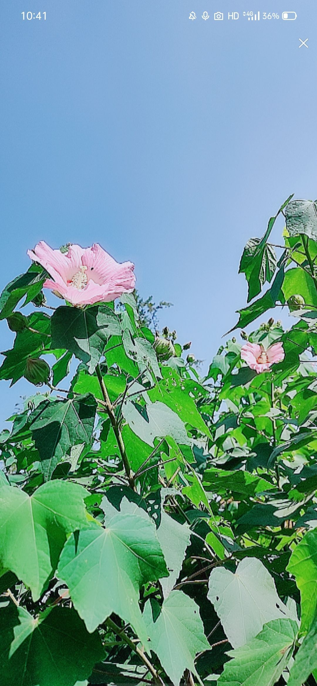 婷婷💕感恩有你陪伴的图片