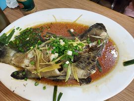 凱晴6726主播照片