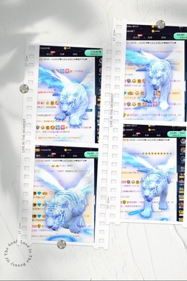 💙欣宝吖（暂休）主播照片