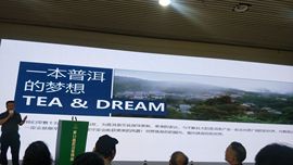 茶茶19号晚8点周年主播照片