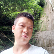 莫飞a