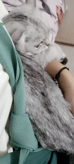 👑䒕暖宝好运旺旺旺主播照片