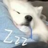 夭倾n