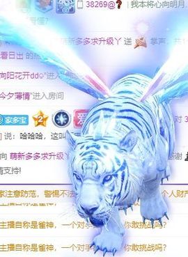 萌新多多求升级主播照片