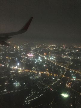 星河滚烫，人间清醒主播照片