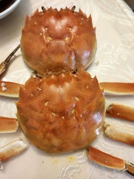 素雅依依暂休主播照片