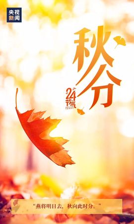 超持久“桑拿天”来了主播照片