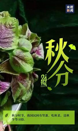 September★主播照片