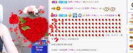 一只柠回老家休主播照片