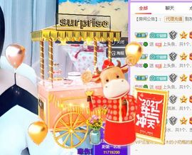🐯双双🍀主播照片