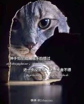 清风💓小缪斯主播照片