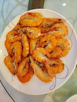 凱晴6726主播照片