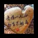 路人yuck