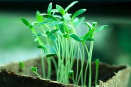 ━☆简希づ休息中主播照片