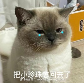 北家花祝大家新年快乐主播照片