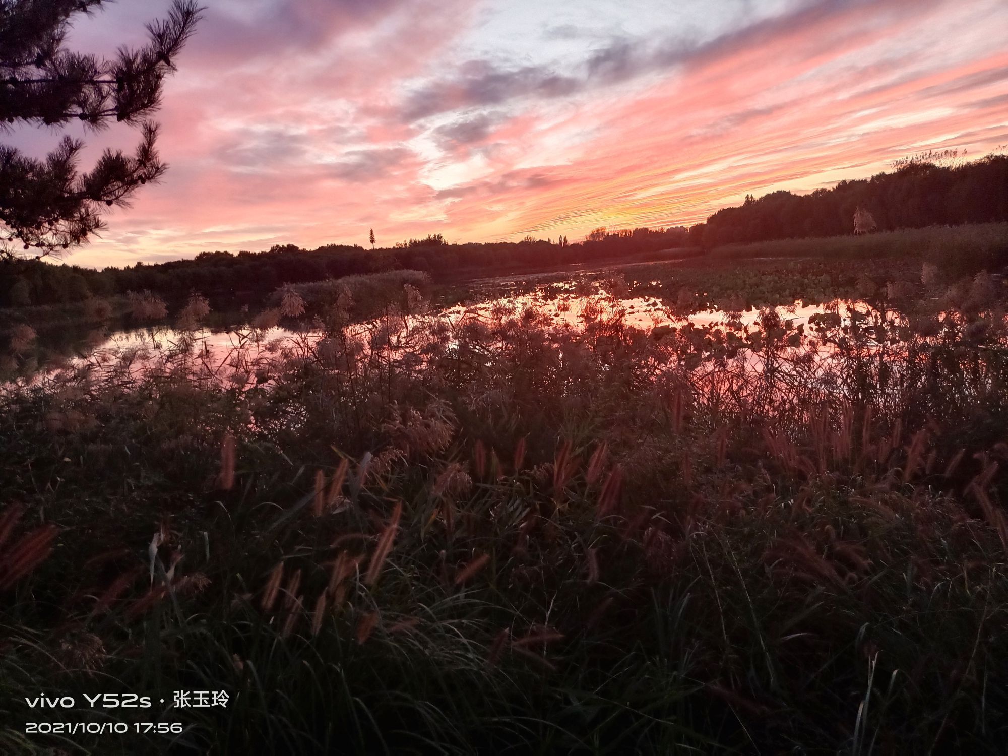 张玉玲8888的图片