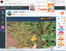 保利哥主播照片